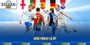 Cược Parlay là gì