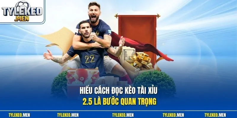 Hiểu cách đọc kèo tài xỉu 2.5 là bước quan trọng