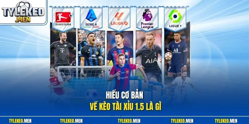 Hiểu cơ bản về kèo tài xỉu 1.5 là gì 