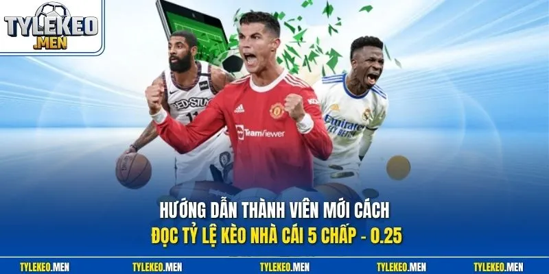 Hướng dẫn thành viên mới cách đọc tỷ lệ kèo nhà cái 5 chấp - 0.25